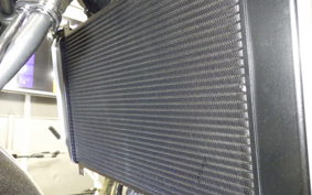 KAWASAKI Z900RS 2023 ZR900K