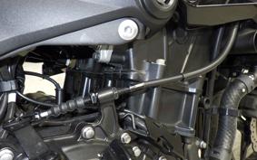 KAWASAKI Z250 Gen.2 2024 EX250Y