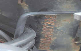 KAWASAKI NINJA 250 EX250L