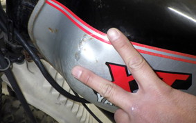 YAMAHA XT250 SEROW 2009 3Y5