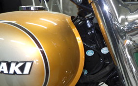 KAWASAKI W800 2011 EJ800A