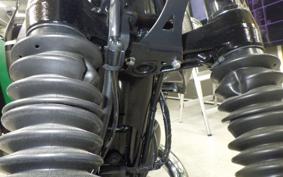 KAWASAKI W800 2024 EJ800E