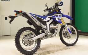 YAMAHA WR250R 2019 DG15J