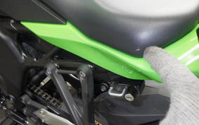 KAWASAKI ZX-25R 2025 ZX250E