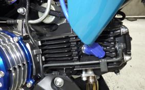 KAWASAKI Z125 PRO 2007 BR125H