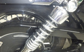 OTHER +HD. XL1200C-I 2011