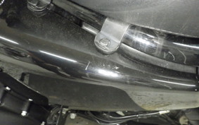 HARLEY XL1200X 2021