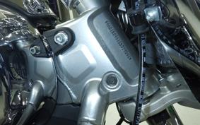 HARLEY FLSTFI1920 2025