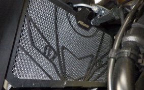 YAMAHA YZF-R25 A 1994 RG43J