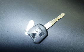 KAWASAKI Z250 SL 2021 BR250E