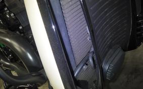 HARLEY NIGHT ROD 1250 SP 2014