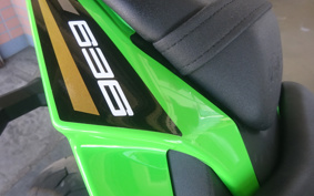 KAWASAKI NINJA ZX-6R 2020 ZX636G