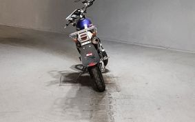 KAWASAKI SUPER SHERPA KL250G