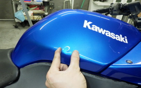 KAWASAKI NINJA 250R 2024 EX250K