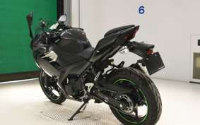 KAWASAKI NINJA 250 EX250P