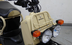 HONDA ZUMAR AF58