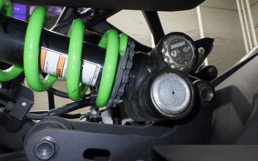 KAWASAKI ZX-4RR 2023
