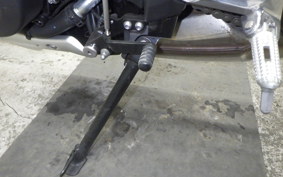 TRIUMPH TRIDENT 660 2024