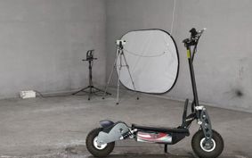 OTHER DENDOU SCOOTER  ..