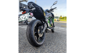 KAWASAKI Z650 2024 ER650S