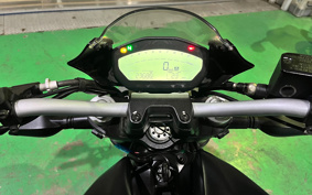 DUCATI  DUCATI  MONSTAR 797 PLUS  2020 MD01