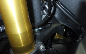 OTHER ドゥカティパニガーレV2S 2025