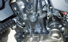 SUZUKI Vｽﾄﾛｰﾑ250SX 2022 EL11L