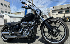 HARLEY  HARLEY FXBRS 2019 YHK