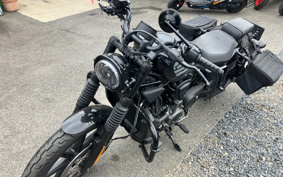 HARLEY  HARLEY RH975 NIGHT  STAR  2022 ZH1