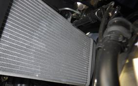 YAMAHA YZF R-3 2025 RH25J