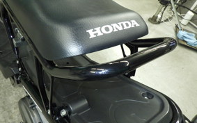 HONDA ZOOMER