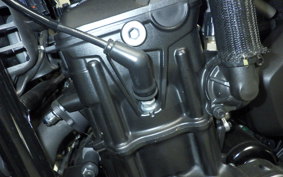 HONDA REBEL 1100 DCT 2021 SC83