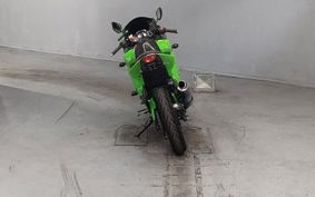 KAWASAKI NINJA250R EX250K