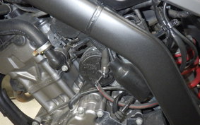 HONDA CRF250L 2024 MD47