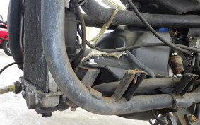 MALAGUTI PHANTOM MAX(ショナシ