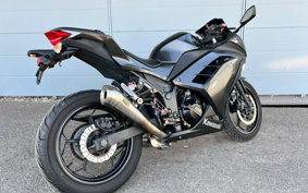 KAWASAKI NINJA 250 EX250L