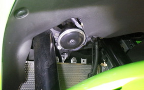 KAWASAKI ZX-4RR 2024 ZX400P