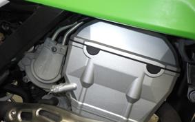 KAWASAKI KLX250 Gen.2 2020 LX250S