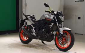 YAMAHA MT-25 2009 RG43J