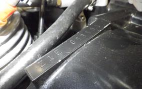 KAWASAKI Z1000 2025 Z1F