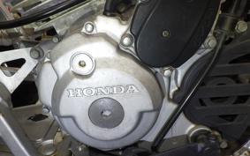 HONDA TRX300EX 2022 TE19