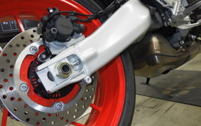 YAMAHA XSR900 GP 2024 RN96J