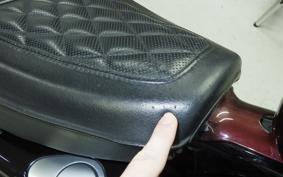 HARLEY XL1200NS 2019