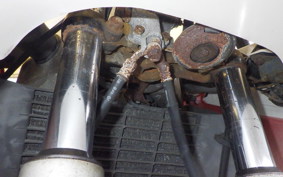 YAMAHA FZR250 Gen.2 R 3LN