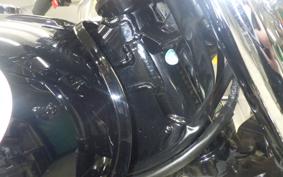 KAWASAKI W800 2016 EJ800A