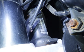 OTHER +UNREGISTERED MODEL by BDS125 2025