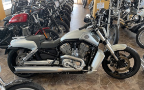 HARLEY  HARLEY VRSCF 2009 HPH