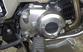 HONDA CT125 HUNTER CUB 2024 JA55
