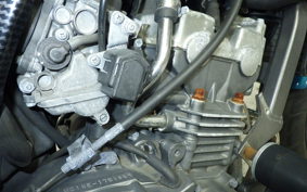 HONDA HORNET 250 2025 MC31