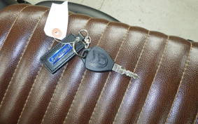 OTHER +ﾏｯﾄﾓｰﾀｰｻｲｸﾙ250 2008